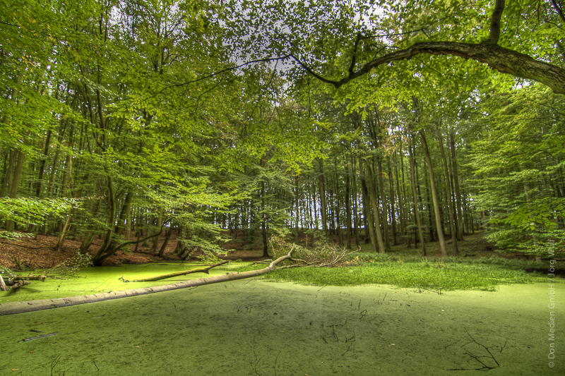 Feldberger Seenplatte